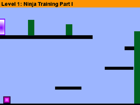 The Ninja Chronicles