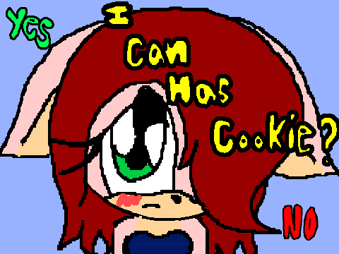 Can i has a cookie? 