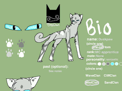 Duskpaw's bio (for Chouette11)
