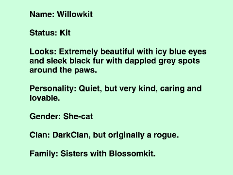 Warrior Character - Willowkit