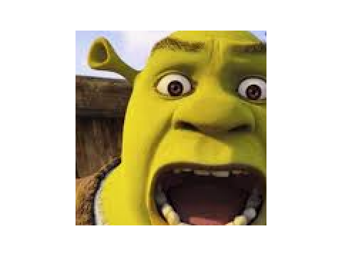 Shrek Pic 2