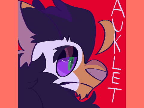 AUKLETS RP PROJECT + REFERENCE SHEET
