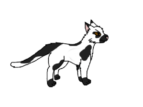 Moonpaw Drawing