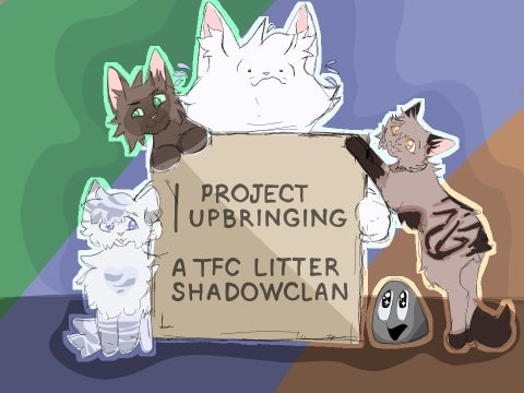 Project Upbringing: A TFC Litter