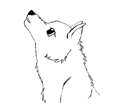 Fireflys- OPEN CC      Owl City