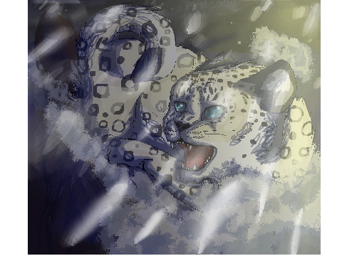 Snow  leopard 