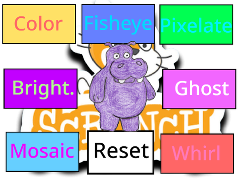 Hippo-Effects!(Entry)