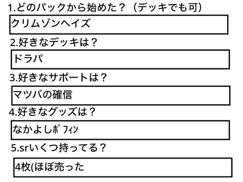 ポケカ好きにしか分からない23の質問に答えた