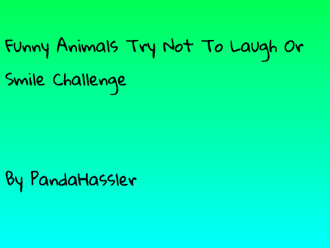 Funny animals try not to laugh or smile challenge