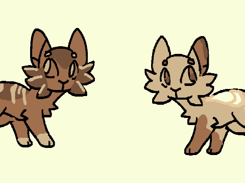 Cream And Coffee FCFS Unparented Litter