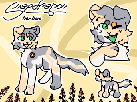 ❝ ʸᵒᵘ ʷⁱˡˡ ᵇᵉ.. ᵖᵒᵖᵘˡᵃʳ. ❝ SnapdragonPaw reference!