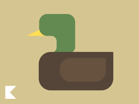 Duck