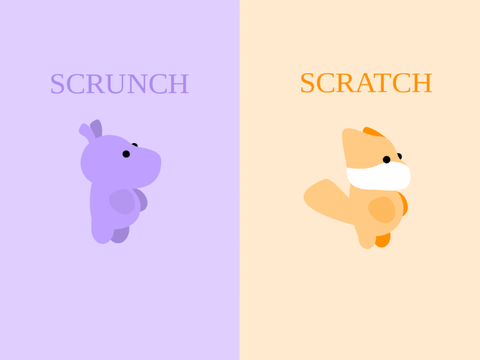 Scrunch or Scratch | Choosing
