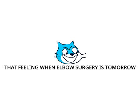NOT YOU TOO, SCRATCH?!?!?!?!?!?!?!