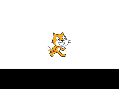 Shaking Cat