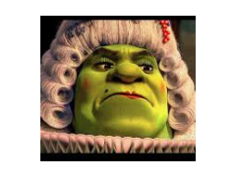 Shrek Pic 4