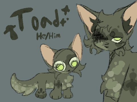 Toad conceptt ☆ ₊˚ʚ ₊˚✧ ﾟ.☆