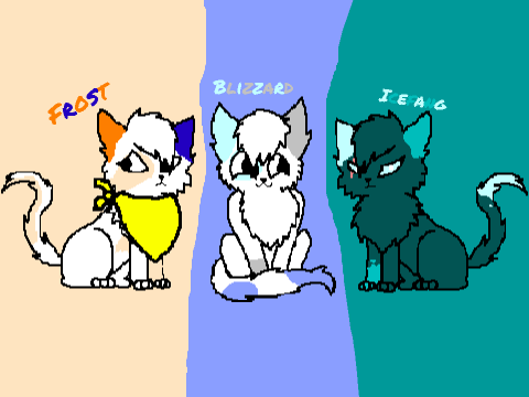 Pic 4 mistpaw2016
