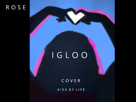Igloo Cover