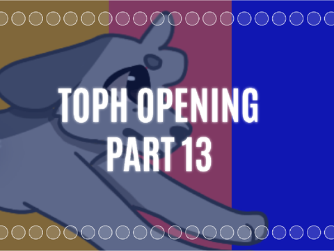 ⇢ ToPH Opening . part 13