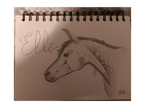 tiny art dump (traditional art :0)