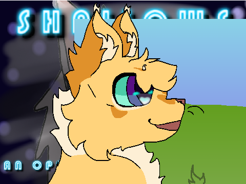 ˚. 3 ˚.