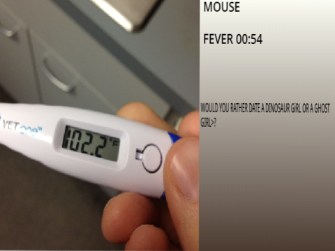 FEVER