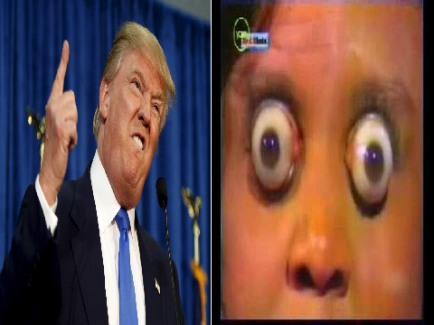 MY REACTION TO TRUMP