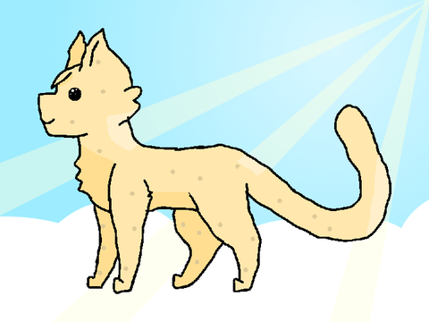 Cloud cat :P