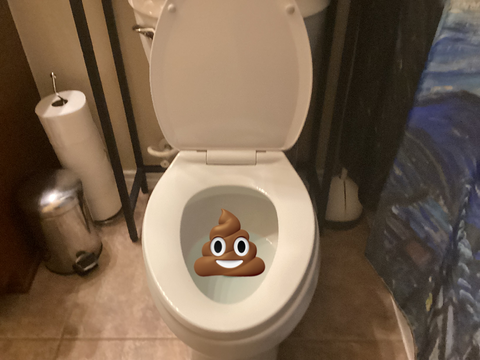 You Eat Poop Or You Flush The Poop Away?