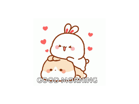 Good morning 