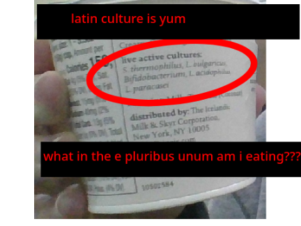 what in the e pluribus unum am i eating???