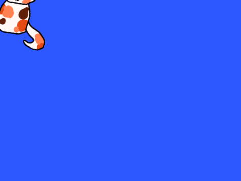 ( WIP) Cats on Catnip - a game by @J3VIN and I lolz