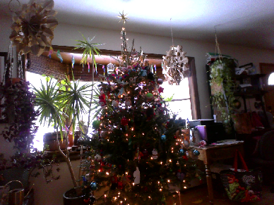 Pics of my tree