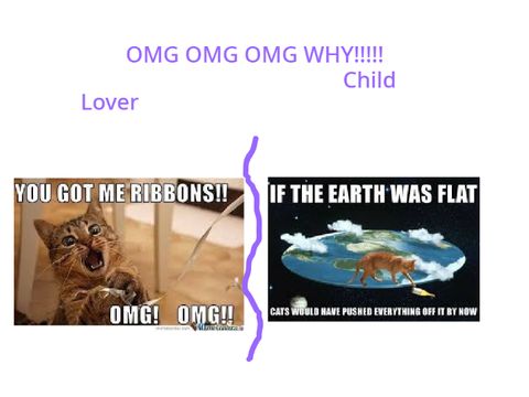 Wut. 