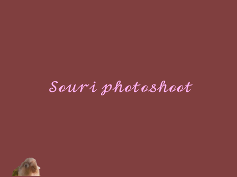 A little bit of Souri ⋆₊˚⊹ ᡣ