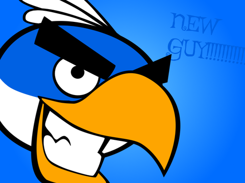 New Concept art bird vector