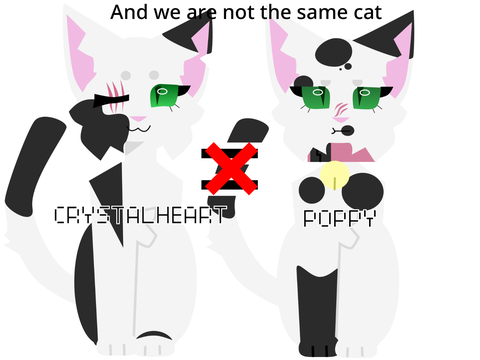 We are not the same person - ft Crystalheart and Poppy
