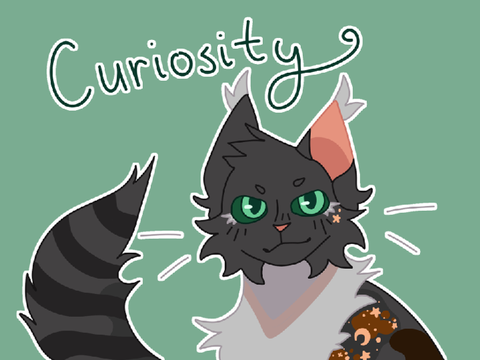 curiosity ... application for precious