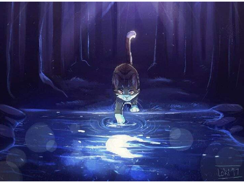 Willows, Myths, Mountains, and Tides Events!
