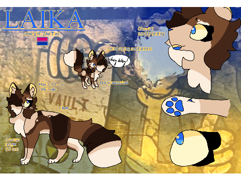Laika - Comfort