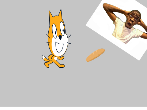 the bread and the cat