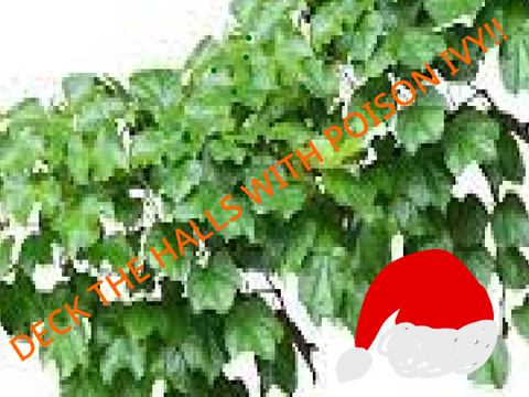 DECK THE HALLS WITH POISON IVY