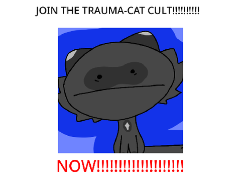 JOIN THE TRAUMA-CAT PFP CULT NOWWWWWWWWWWWWWW!!!!!!!!!!!