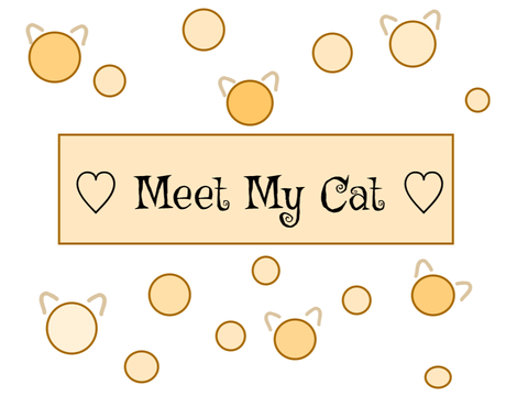Meet My Cat!