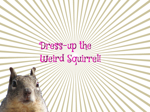 dress-up the weird squirrel