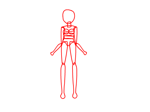 animation test