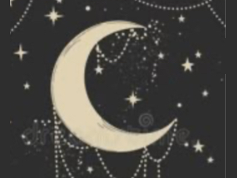 .・。.・゜✭・chat・✫・゜・。.