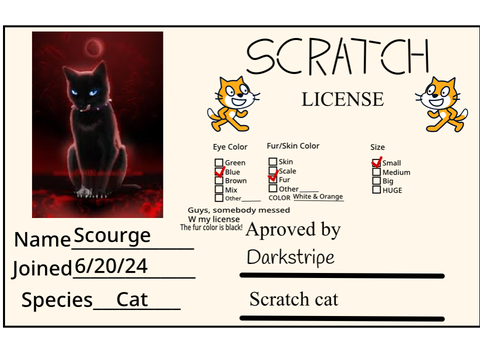 My license