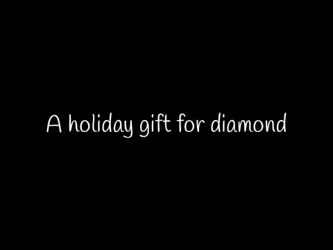 Happy holidays diamond!